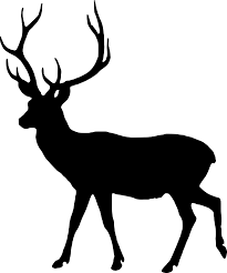Free Image On Pixabay Silhouette Fallow Deer Dama Dama Deer Silhouette Art Deer Silhouette Silhouette Art