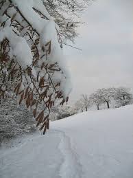 Wir verraten ihnen, wie es geht. Kar Kis Snow Winter Baris Senduran Barissenduran Winterwunderland Bilder Hintergrundbilder
