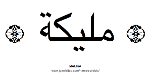 Would you love to find out which arabic name do you belong to? Muslim Female Names Names In Arabic Muslim Women Names Women Names Female Names