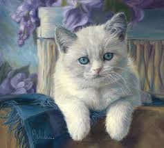 HD white kitten painting wallpapers