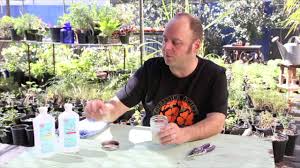 How to clean plant residue from hedge shears. How To Sterilize Pruning Shears 2 7 Youtube