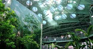 Let The Wonder Begin California Academy Of Sciences California Academy Of Sciences San Francisco Nightlife Palace Of Fine Arts