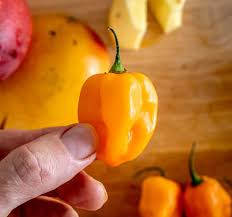 Keep a saucepan ready and transfer to paste to the pan. Mango Habanero Hot Sauce Mexican Please