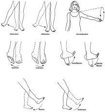 0198631472 Vucut Hareketleri 1 Body Movement Anatomy Movement