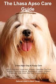 lhasa apso care guide lhasa apso dog puppy care facts