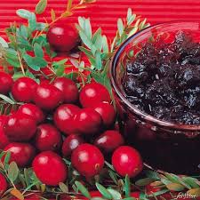 Freuen sie sich auf kostenfreies wlan und seeblick. Cranberry Auch Moosbeere Vaccinium Macrocarpon Weitere Beeren Garten Schluter