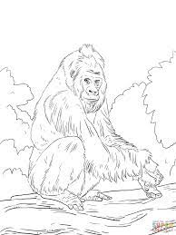 The best collection of gorilla coloring pages for adults. Western Lowland Gorilla Coloring Page From Gorillas Category Select From 27516 Printable Crafts Of Cartoon Animal Coloring Pages Coloring Pages Coloring Books