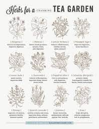 How To Create A Tea Garden Sugar And Charm Herbal Tea Garden Tea Garden Herb Garden