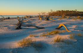 Hunting island sc campground map | hunting island state park map • mappery. Your Guide To Escaping To South Carolina S Hunting Island State Park