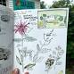 Nature Journaling Club event image