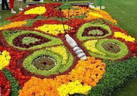 Each plant can support hundreds of butterflies feeding on it at one time. 12 Beautiful Butterfly Designs To Shape Your Garden