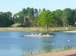 We did not find results for: Hundbad Morbylanga Kommun