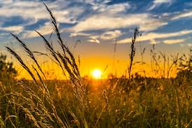 The summer solstice is just days away, so find out everything you need to know about the celebration here. Summer Solstice 2021 Celebrate The First Day Of Summer The Old Farmer S Almanac