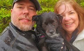 rain that grows flowers, not thunder.” ― Rumi #rain #birds Rubi