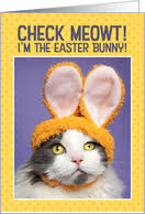new amazing colorful happy easter 2021 gif image free. Funny Easter Cards From Greeting Card Universe