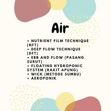 Funfact2 Hidroponik Tanaman Air Membaca
