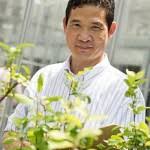 Study: Peaches Preferred By Younger Consumers