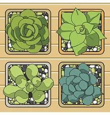 How to draw a cactus step by step #cactus #easydrawing. Succulent Line Drawing Vector Images Over 2 000