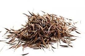 Cosmos Seed Harvest Tips For Collecting Cosmos Seeds Cosmos Flowers Garden Cosmos Plant Cosmos Flowers