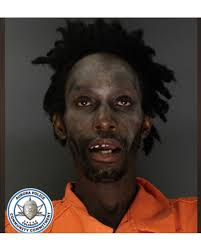 GOD'S WILL" 🚨 #Killeen, Texas man refused to surrender critically-wounded  dog, said it was 'God's will' if canine died: affidavit INFO: