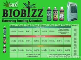 biobizz grow