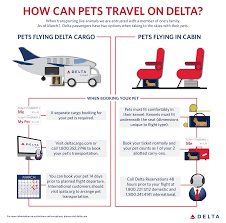 For the first time, the airline has decided to stop accepting animals as checked luggage—a common now, anyone looking to travel with their dog, cat, or turkey will need to bring their pet aboard the main cabin in an approved carrier—or they'll. New Two Options Available For Pet Travel Delta News Hub