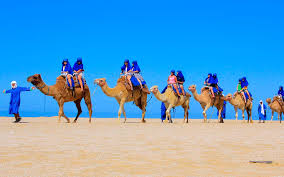 Son dakika cabo san lucas. Outback Camel Safari In Cabo San Lucas Calypsotrip