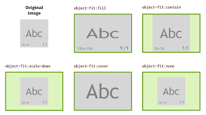 Css Object Fit And Object Position Properties Crop Images Embedded In Html In this video tutorial we'll learn how to quickly crop the extra white background on the sides of images.