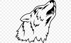 All png & cliparts images on nicepng are best quality. Gray Wolf Cartoon Drawing Png 500x500px Gray Wolf Animated Film Art Artwork Beak Download Free