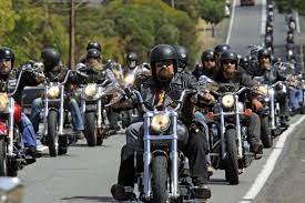 Pin On Hog Brothers