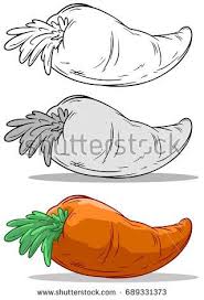 Black And White Orange Cartoon Cartoon Cool Black And White Orange Big Carrot On White Background Vector Set