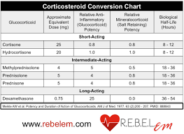 40 steroid conversion chart kivan yellowriverwebsites com