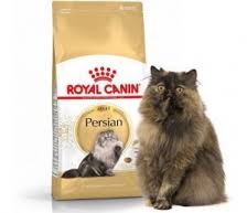 Read writing from distributor makanan kucing on medium. Makanan Kering Pet Shop Grosir Retail Makanan Anjing Makanan Kucing Aksesories Hewan