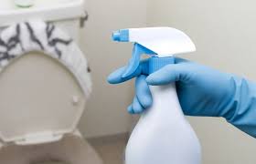 重曹 酢 でトイレ掃除 便器の輪ジミ 尿汚れ タンクの水垢 悪臭も重曹で解消 リビング 文房具 収納 トイレ掃除 掃除