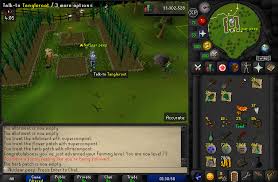 It not only keeps track of what you've planted, but gives you an approximate time of when it will be ready as well! Ultimate Ironman Farming Pet On My Uim On Osrs Spam Alora Rsps Runescape Private Server