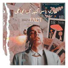 only factsss marwan pablo art marwan pablo wallpaper marwan pablo