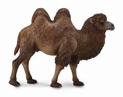 There are some animals that can go for over 30 years without eating a thing or even drinking. Collecta Bactrian Camel Village Toys