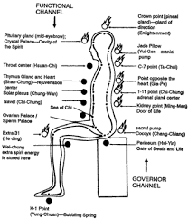 barbara brennans explanation of the chakras