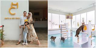 35 Most Instagram Worthy Hipster Cafes In Bandung You Need To Visit