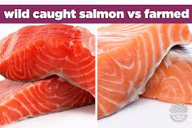 Wild Caught Salmon Vs Farm Raised Pros And Cons Mind Over