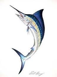 Tuhan kita telah membuat alam raya sedemikian rupa, indah dan sempurna. 11 Fish Ideas In 2021 Fish Fish Art Fish Drawings