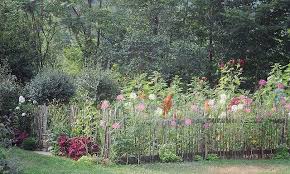 Dean Riddle S Garden 5 Annual Garden Garden Entrance Garden