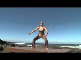 dru yoga dvd total body workout
