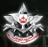 Image result for Royal Brunei Armed Forces Day