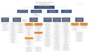 011 Organization Chart Template Word Ideas Organizational