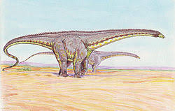 43% black, 32% red, 128 download link: Diplodocus Wikipedia