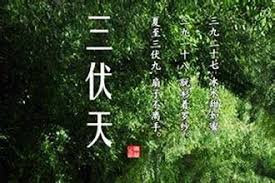 Search for text in url. ä¸‰ä¼å¤©æ€Žä¹ˆç®— æ¯æ—¥å¤´æ¡