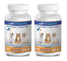 Dog Allergies Pills Allergy Relief Pets For Dogs And Cats Amazing Formula Chewy Tablets Dog Turmeric 2 Bot Pet Allergy Relief Pet Allergies Dog Allergies