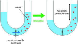 If a cell has a cell wall, the wall helps maintain the cell's water. Osmosis From Molecular Insights To Large Scale Applications Chemical Society Reviews Rsc Publishing
