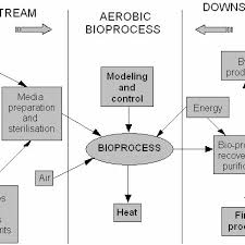 Characteristic Flow Chart For Biotechnology Centred On